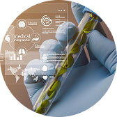 Global Research Validation