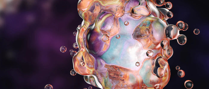 The science of cellular rejuvenation and reprogramming with ProLon